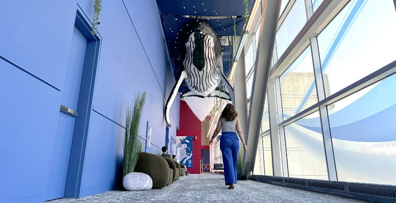 An advisory committee to stimulate business tourism