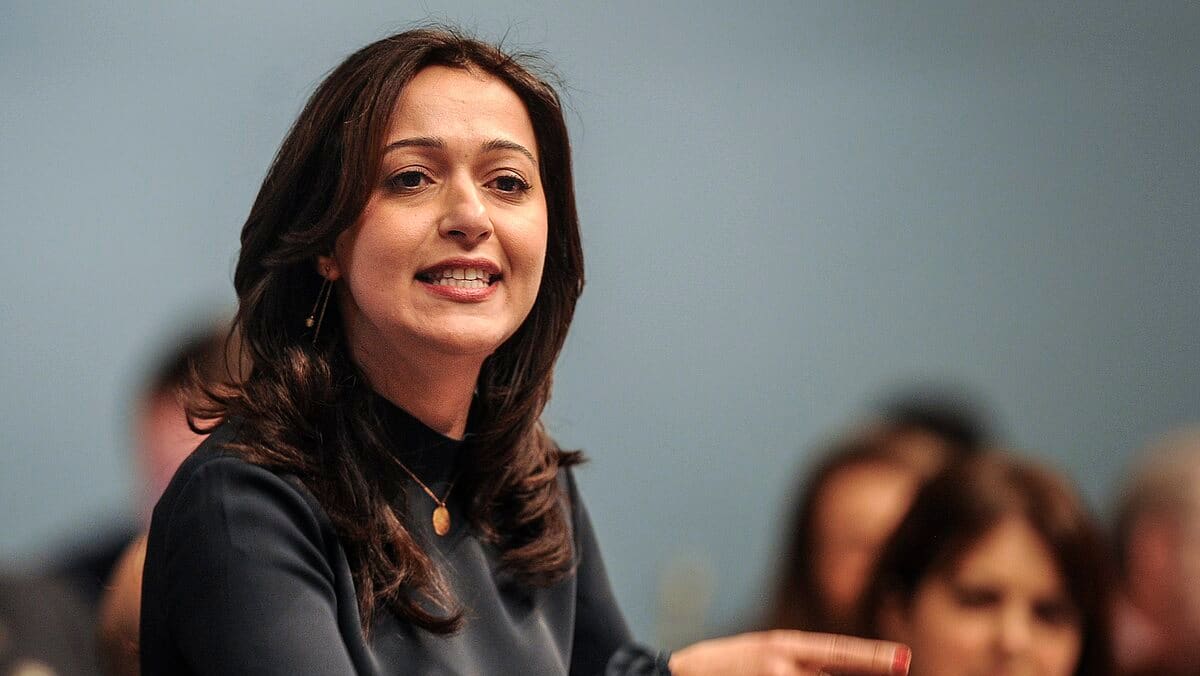 Schools: Québec solidaire calls for free special programs without selection