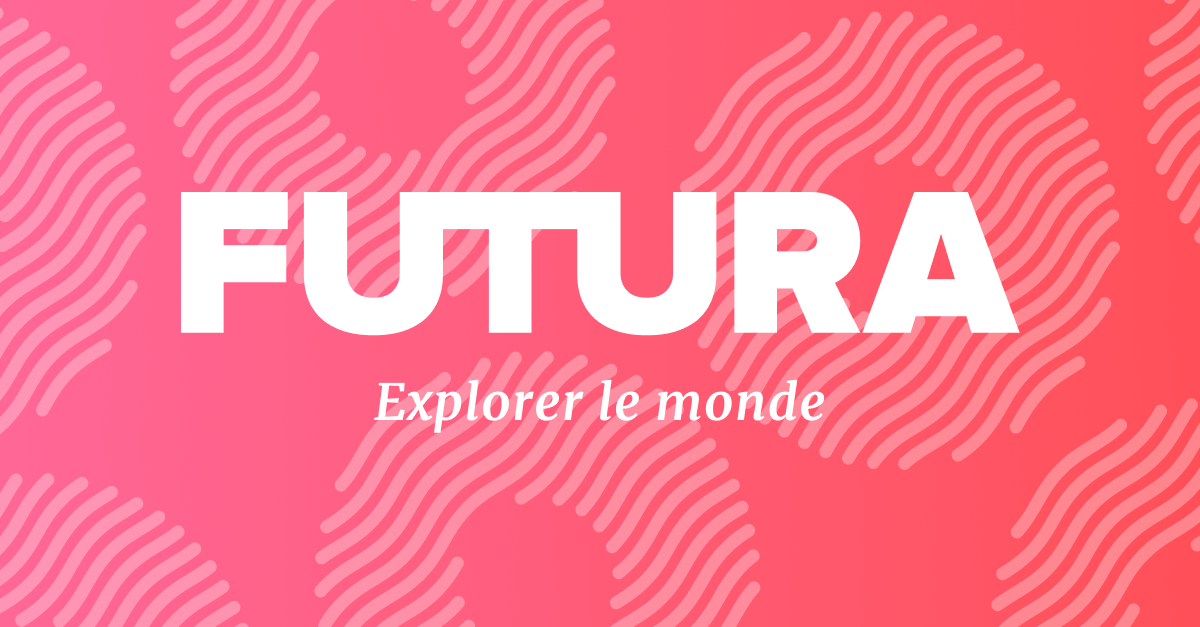 The questions and answers |  Future