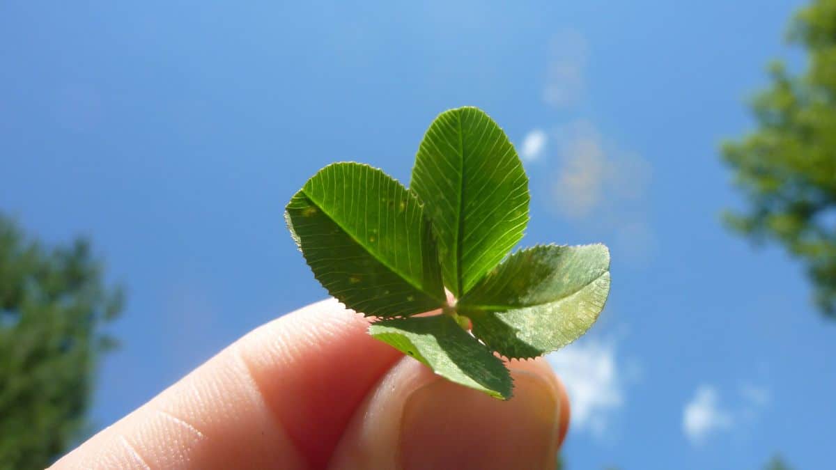 Ces 3 signes du zodiaque auront beaucoup de chance en juin