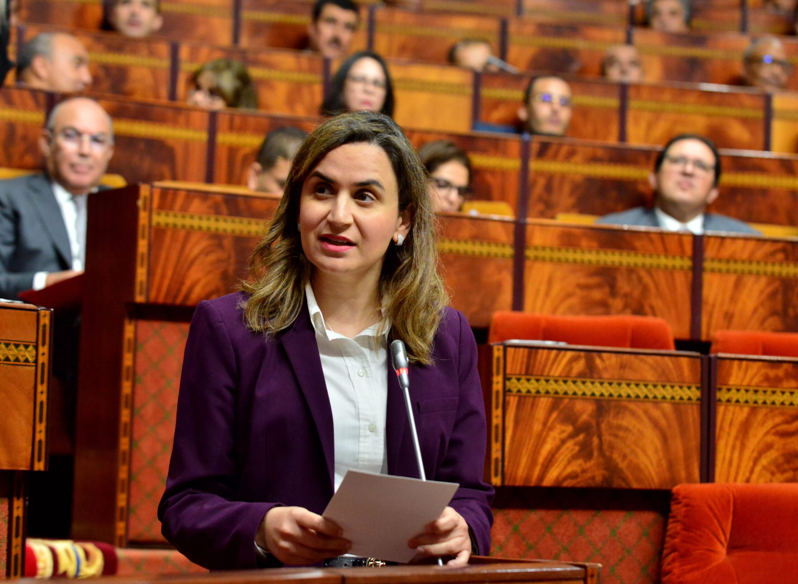 According to Ghita Mezzour, a uniform portal for access to digital services will soon be available