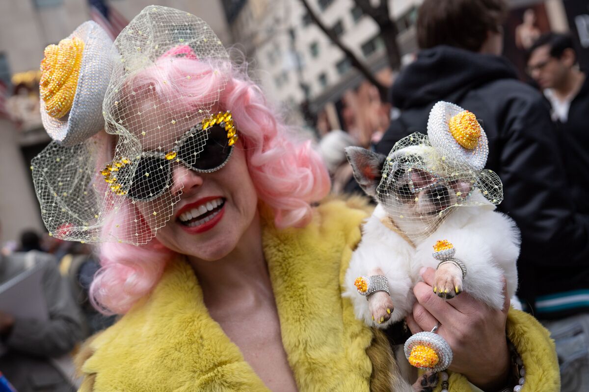 Voici les 7 races de chiens les plus faciles à vivre, selon les experts